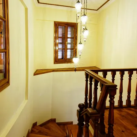 Hotel Minyon