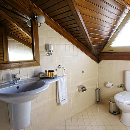 Minyon Hotell 4*