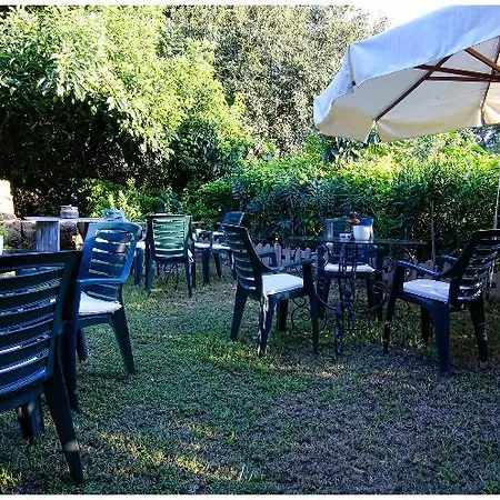 مينيون فندق