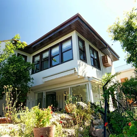 Отель Minyon 4*